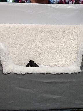 K&H Rectangle Pet Booster Pet Dog Car Seat - Large Grey